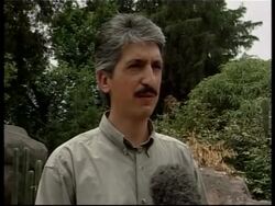 First time in 28 years grey wolves born in the country News Clip