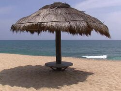 Beach Sri Lanka Stock Footage