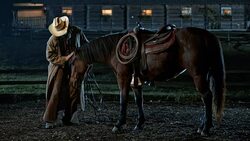 SLO MO Horseback rider stroking his horse in the evening Stock Footage