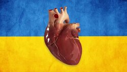 Ukraine heart Stock Footage