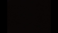 News Item (339bbf0a-815d-dc90-15d3-61c990a6a15b) News Clip