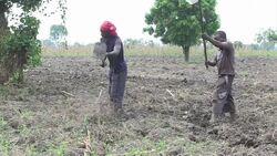 CLEAN : NGOs, people wary of anti rebel DR Congo offensive News Clip