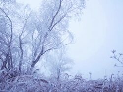 It snows Stock Footage