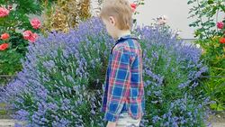 boy sneezing from pollen of flowering plants Stock Footage