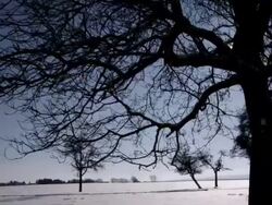 Winter sun (Shot on RED) Stock Footage