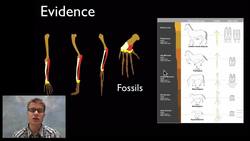 LS4A - Evidence of Common Ancestry and Diversity Instructional Video