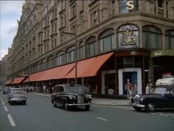 Examples of heraldry, RBS, Harrods, London, England, UK Stock Footage