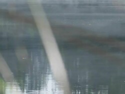 HD: Misty Lake Stock Footage