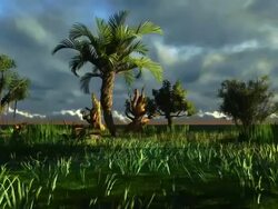 Wetland Stock Footage