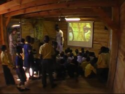 Fears Africa's big cat might be extinct within 15 years News Clip