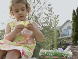 Easter Eggs Stock Footage