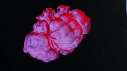 Super Stars Instructional Video