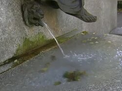 Water spills from the mouth of a stone lion in New York City. Stock Footage