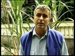 A review of some of this year's solutions to global warming News Clip