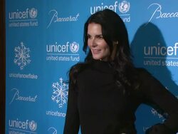 Angie Harmon at the 10th Anniversary Of The UNICEF Snowflake Lighting at New York NY Stock Footage