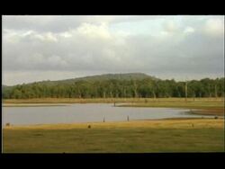 WA Pan left, Vast lake and hilly horizon, Nagarahole, India Stock Footage