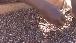 CLEAN : FILE Amnesty say child labour used to mine cobalt in DRCongo News Clip