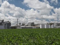 Spring Cornfield with Ethanol Plant in the Background Stock Footage