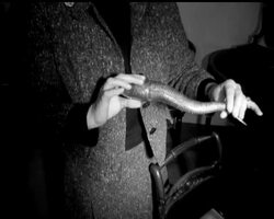 GROWING OLD GRACEFULLY News Clip