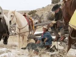 MS Cowgirl and cowboy resting by fence with horses and dogs / Shell, Wyoming, United States Stock Footage
