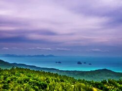 Misty landscape Stock Footage