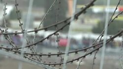 CLEAN : Migrants l Autriche debute les travaux de sa cloture News Clip