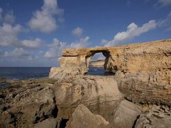 FUNGUS ROCK BLACK LAGOON Stock Footage