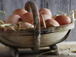 MS PAN Shot of eggs in straw in rustic basket / London, United Kingdom  Stock Footage