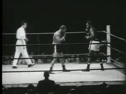 Mauro Mina and Jesse Bowdry in boxing match Stock Footage