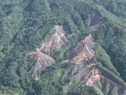 Aerial over jungle covered hills, bare patches of deforestation for roads visible, Kota Kinabalu, Malaysia Stock Footage