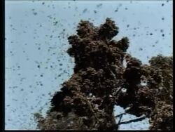 Renewable energy experts, gov't officials meet News Clip