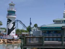 People walking in Seaworld in Orlando Stock Footage