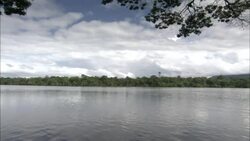 Men load a long motorboat on a tranquil river. Stock Footage