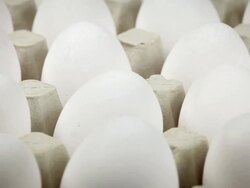 Many Eggs Stock Footage