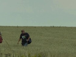 Investigating Crash of Malaysia Airlines flight MH17 Stock Footage