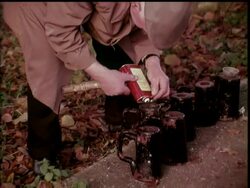 THE FENNY POPPERS News Clip