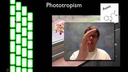 Plant Control Instructional Video