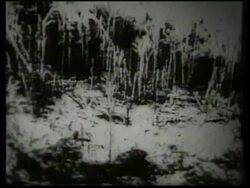 VIETNAM: DEADLY LEGACY LEFT BEHIND IN SOIL AFTER VIETNAM WAR News Clip