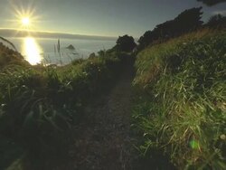 MS SLO MO POV Couple jogging on trail on Pacific Coast / Port Orford, Oregon, United States Stock Footage