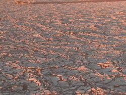 Cracked earth, Sossusvlei, Namib-Naukluft, Namibia Stock Footage