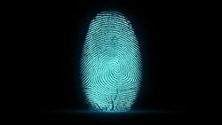 4K Fingerprint Identification Stock Footage