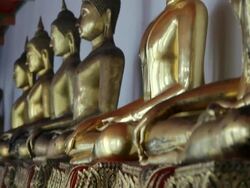 MS TU View of  golden buddha statues / Bangkok, Thailand Stock Footage