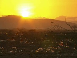 WS View of plastic bags waving on little branches in front of mountain with sun shining / Djibouti Stock Footage