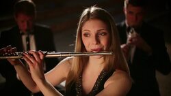 People playing flute and clarinets in orchestra Stock Footage
