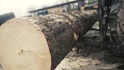 Large log loader and operations in the log yard at a conifer log mill. Stock Footage