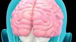 Biophotonics poised to make major breakthroughs in medicine Instructional Video