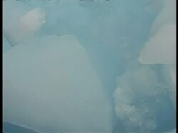 MS single krill floating underwater, Antarctica Stock Footage