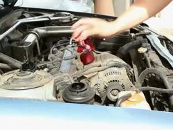 auto mechanical work,Checking and Adding Power steering Oil Stock Footage