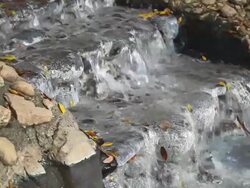 Hot spring water flowing down. Stock Footage