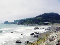 False Klamath Cove in Redwood National Park Stock Footage